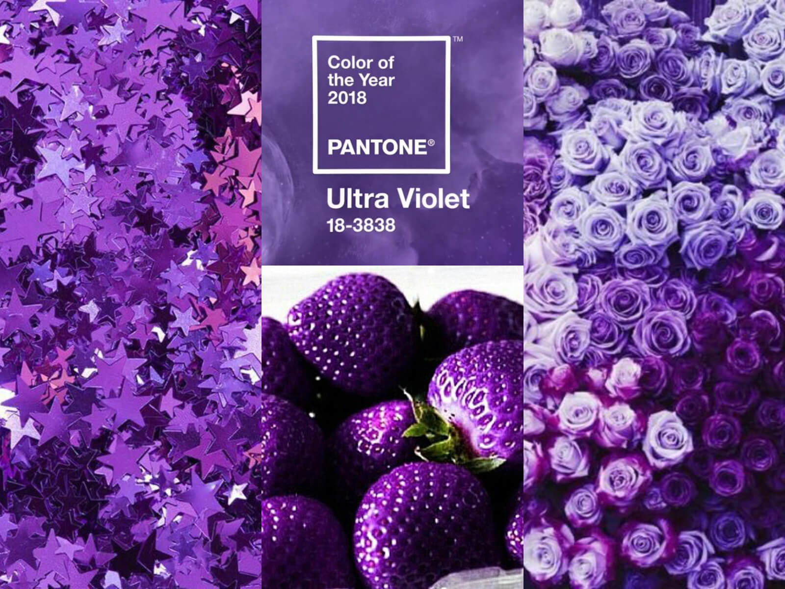 Violet1